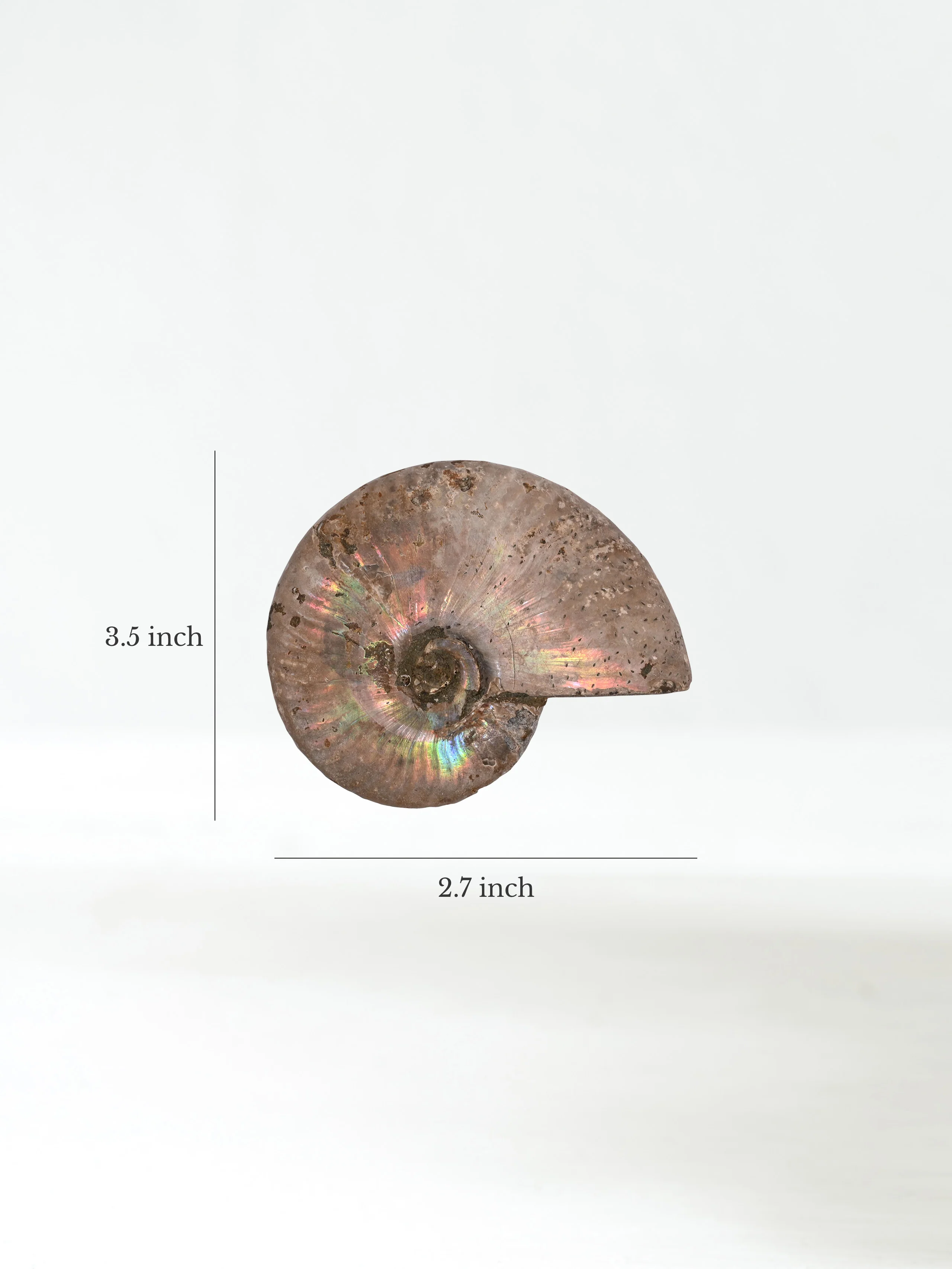 Product image 34